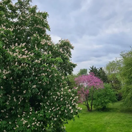 Demeure Du Saule Madame Bed and Breakfast Thieux (Seine-et-Marne)